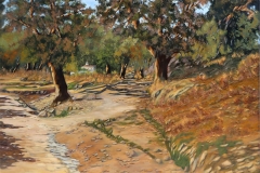 blasrios_063