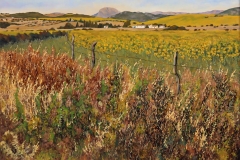 blasrios_064