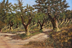 blasrios_070