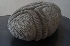 expopatricia_004