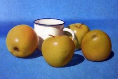 fjmoreno_005