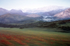 fjmoreno_013