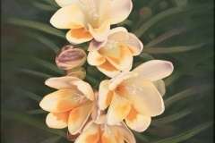 fjmoreno_019
