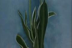 fjmoreno_020
