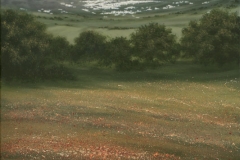 fjmoreno_024