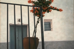 fjmoreno_026