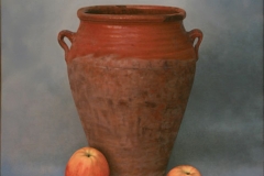 fjmoreno_027