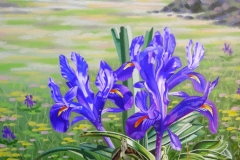 fjmoreno_041