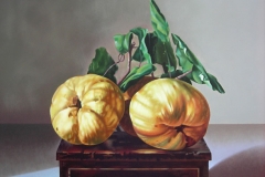 fjmoreno_053