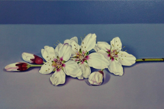 fjmoreno_071