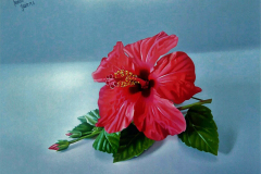 fjmoreno_075