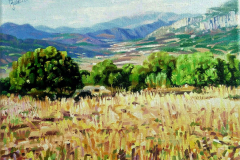 fjmoreno_077