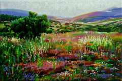 fjmoreno_091