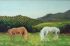 sevillano_022