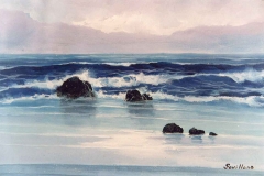 sevillano_110
