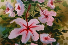 sevillano_168