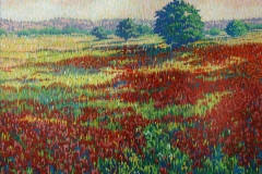 lopeznunez_064
