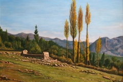 juancarrascoleon_073