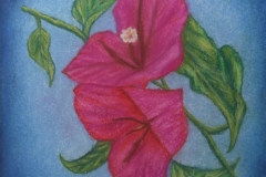 juanchacon_030