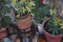 patricia_034