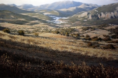 lobatohoyos_012