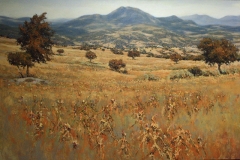lobatohoyos_026