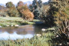 lobatohoyos_047