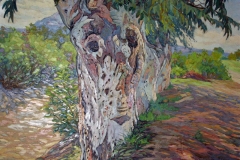 lobatohoyos_064