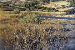 lobatohoyos_069