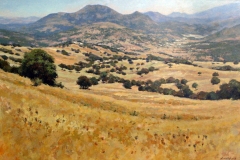 lobatohoyos_070