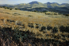 lobatohoyos_087