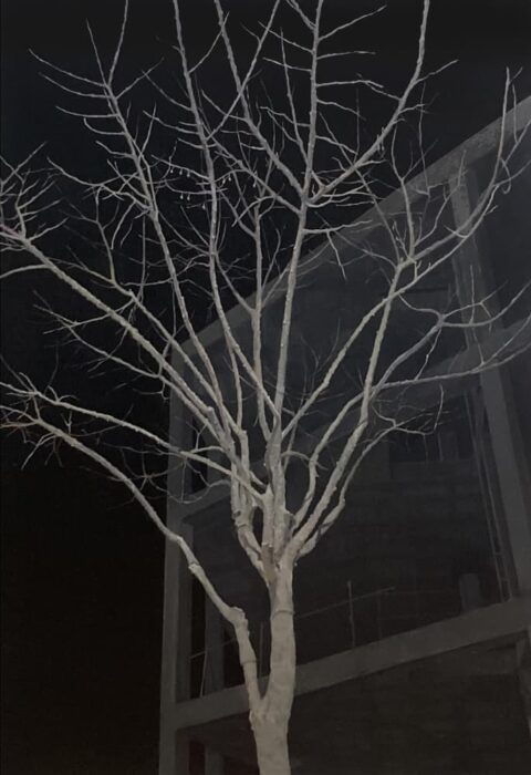 Obra premiada de José Luis Mancilla