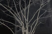 Obra premiada de José Luis Mancilla