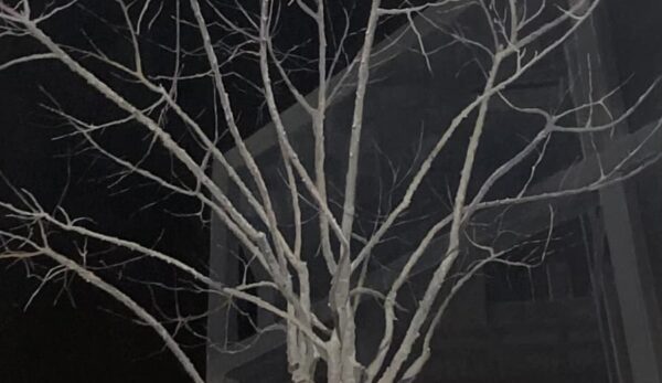 Obra premiada de José Luis Mancilla