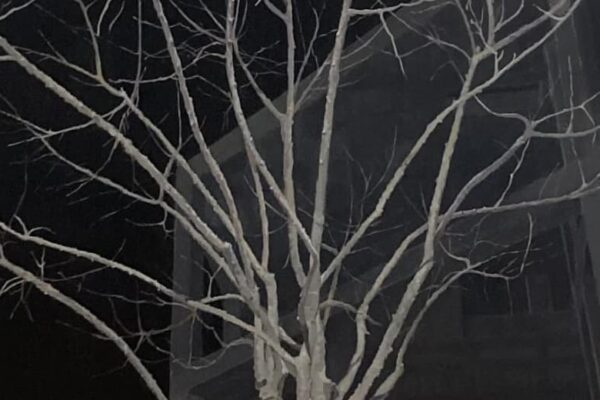 Obra premiada de José Luis Mancilla