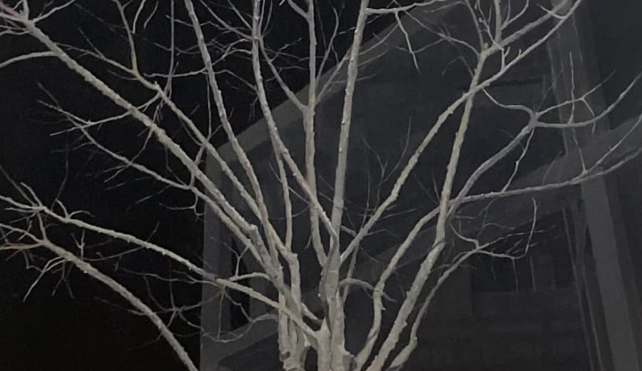 Obra premiada de José Luis Mancilla