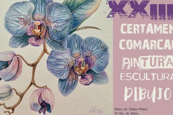 XXIII Certamen Comarcal de Pintura, Escultura y Dibujo IES Las Cumbres