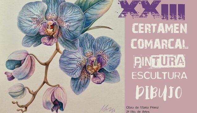 XXIII Certamen Comarcal de Pintura, Escultura y Dibujo IES Las Cumbres